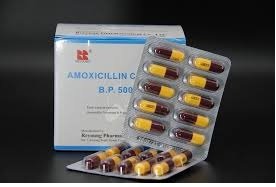 Amoxycillin capsules 250 mg